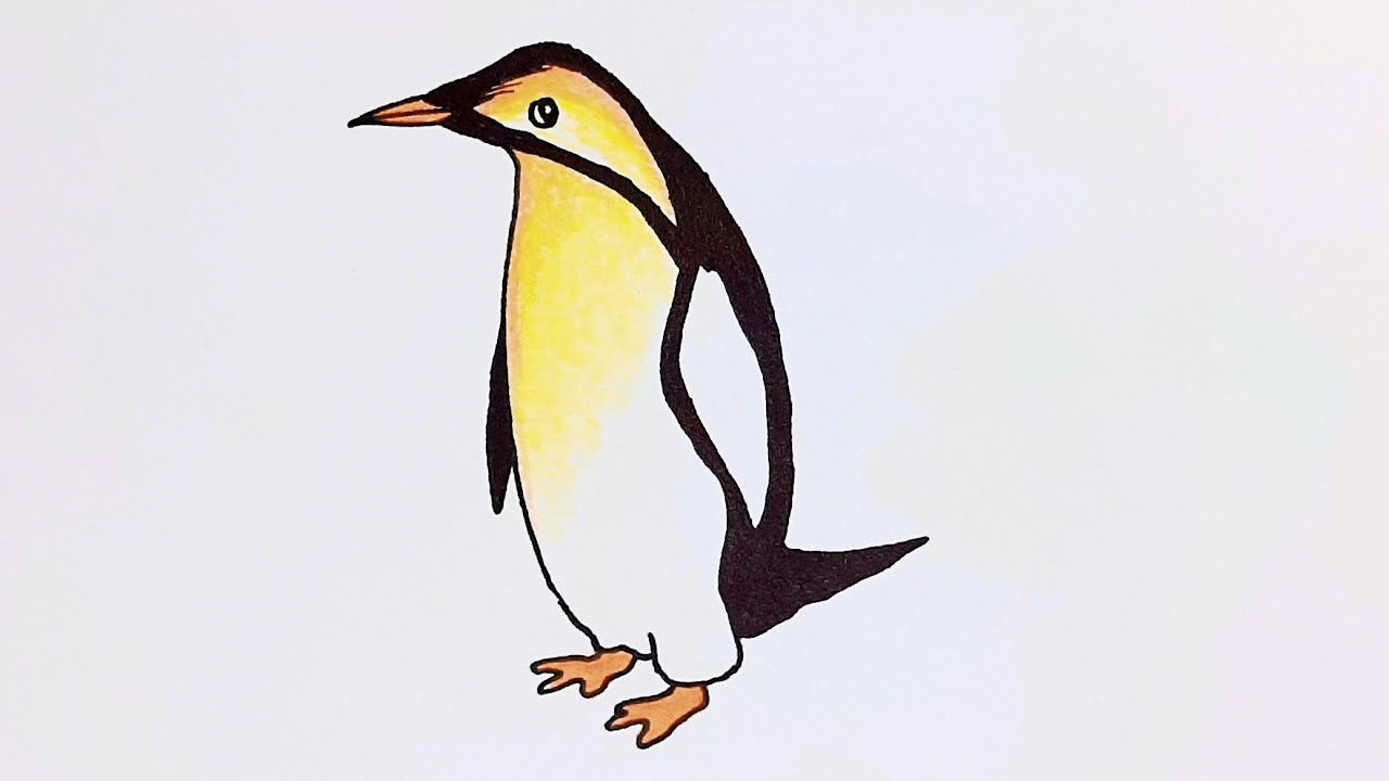 Penguin drawing, Penguin scenery drawing, Penguin drawing colour, how to draw Penguin, penguin craft