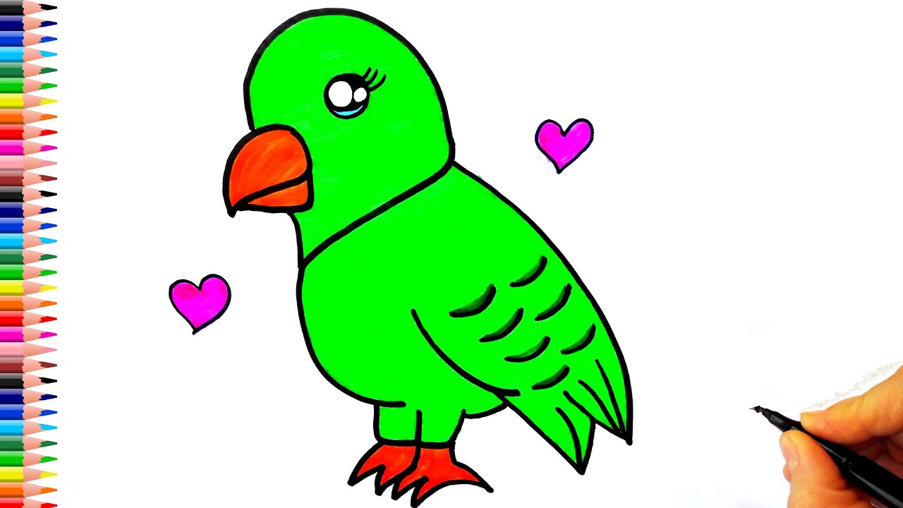 Sevimli Muhabbet Kuşu Çizimi Sevimli Kuş Nasıl Çizilir? - Kuş Çizimi - How To Draw a Bird Easy