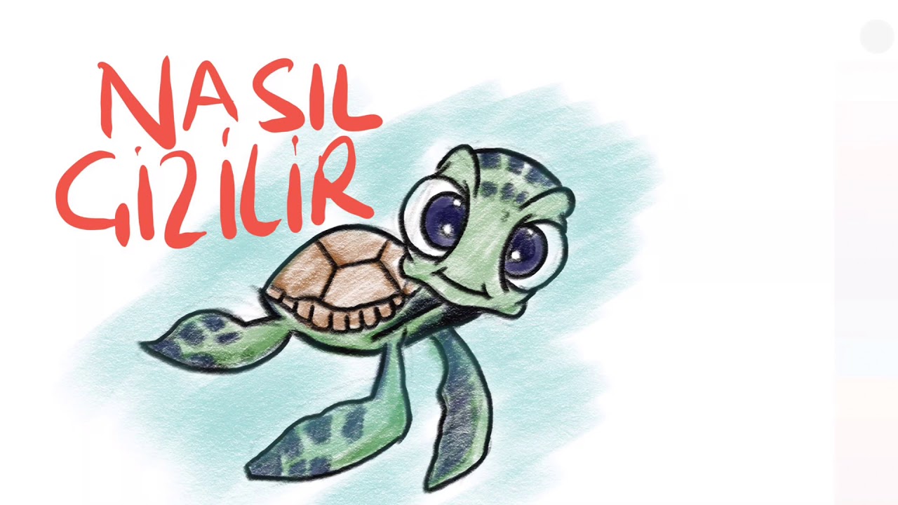 Su kaplumbağası nasıl çizilir - kaplumbağa resmi çizimi