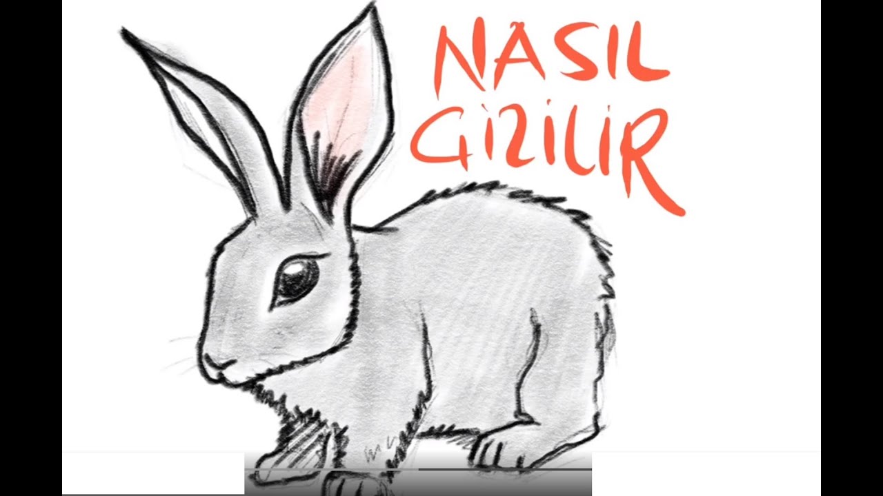 Tavşan nasıl çizilir - Altyazılı çizim anlatımı tavşan