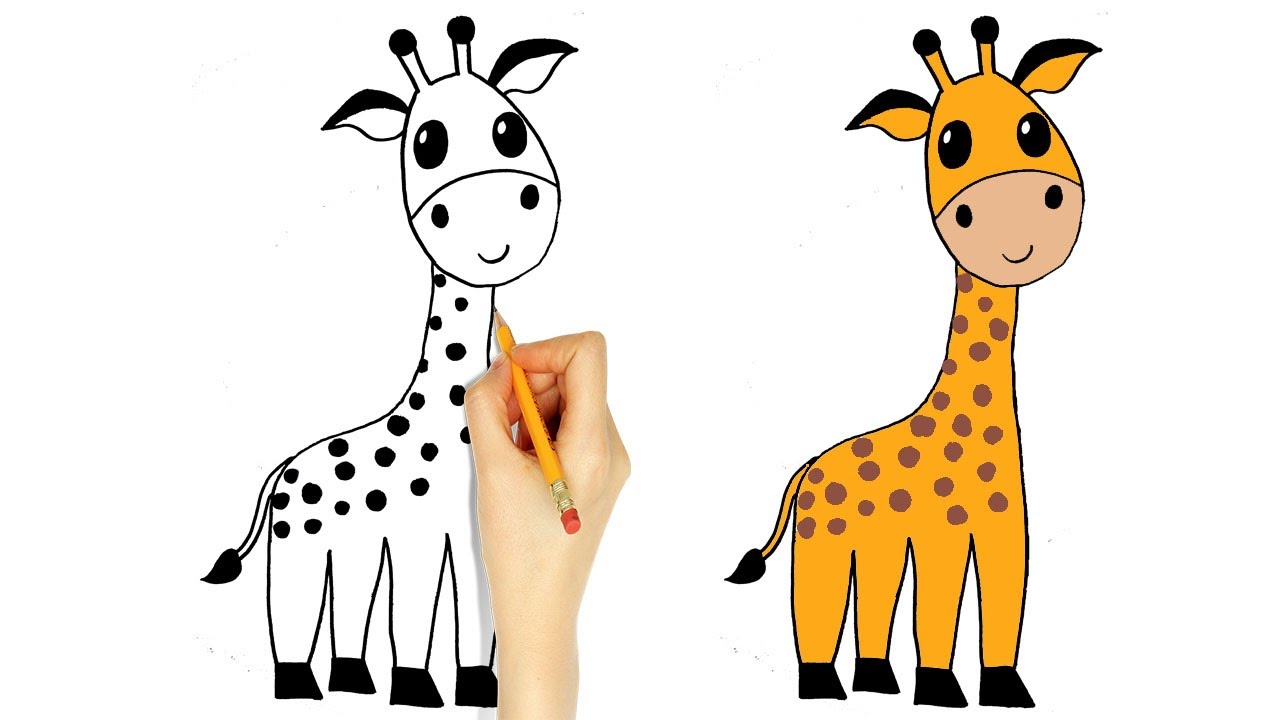Zürafa Çizimi How to Draw Giraffe