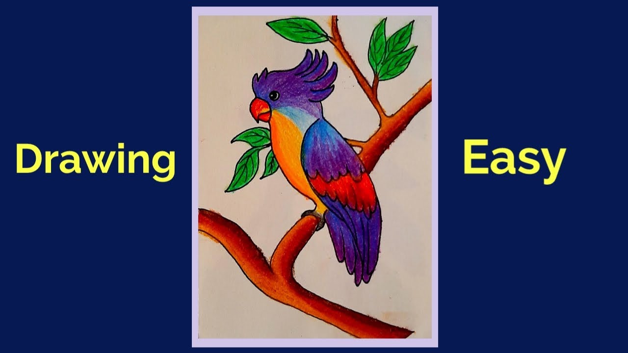 flying bird drawing bird || drawing with colour || bird drawing cartoon