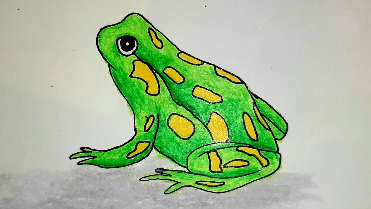 how to draw a frog step by step easy for beginners how to draw a poison dart frog step by step easy
