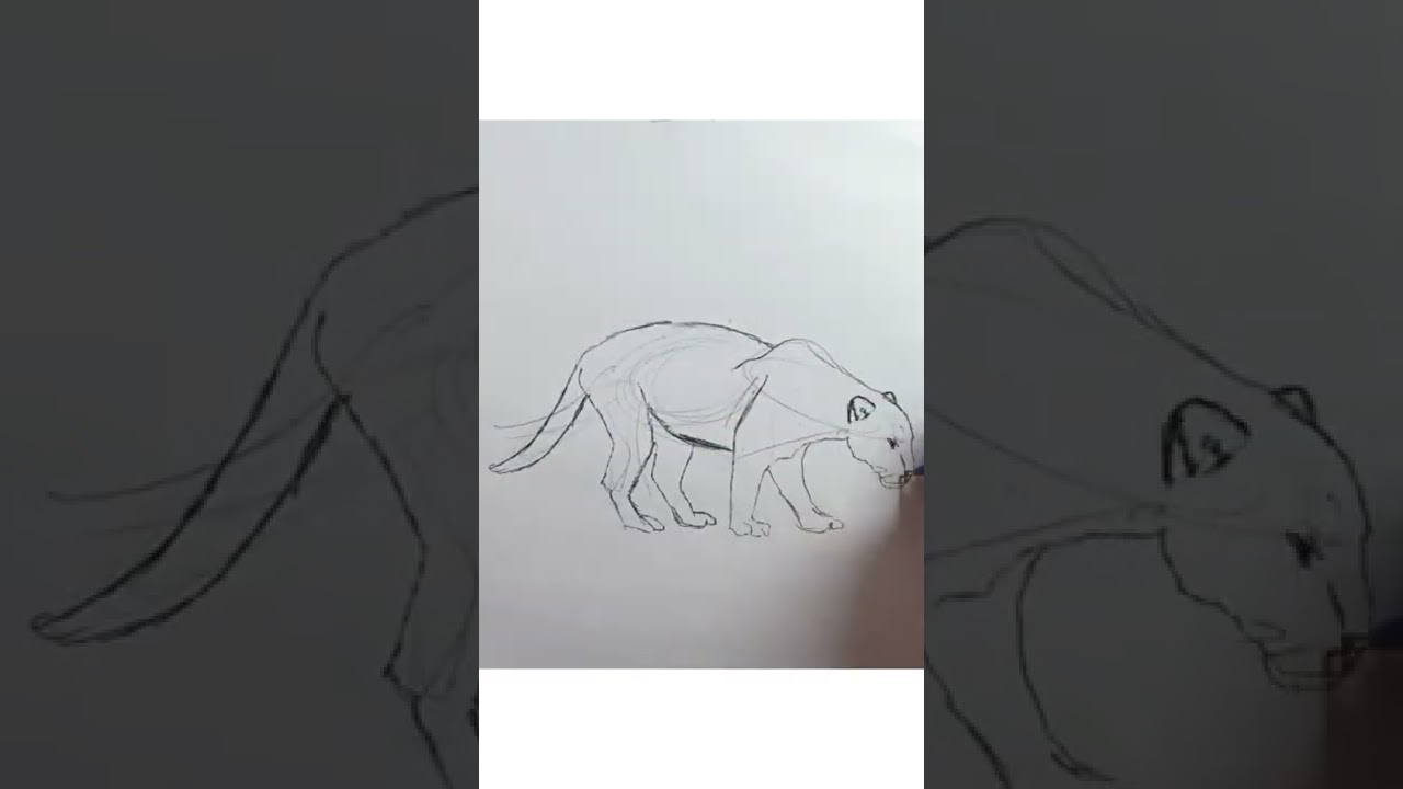 Karakalem hayvan çizimi