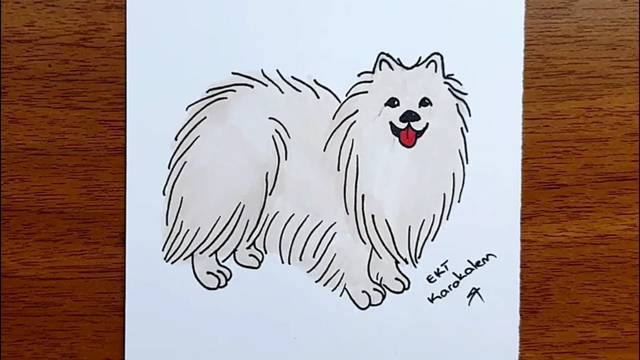 köpek resmi nasıl çizilir - kolay adım adım köpek çizimleri - hayvan resimleri