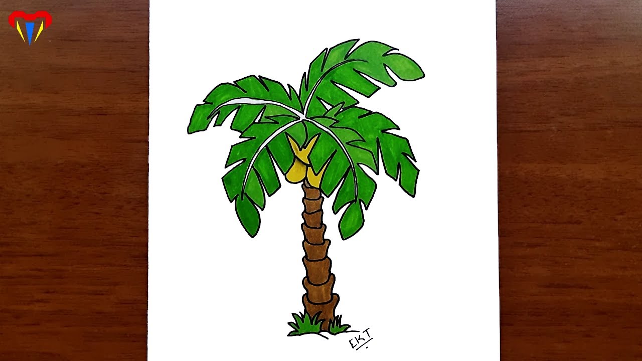 palmiye ağacı çizimi - kolay ağaç çizimleri - kolay çizimler, basit, sevimli, güzel,  tatlı,  resim