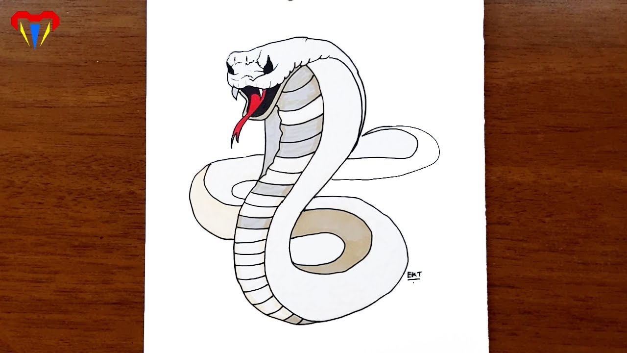 yılan çizimi - kolay hayvan çizimleri - kolay çizimler, basit, sevimli, güzel,  tatlı,  resim