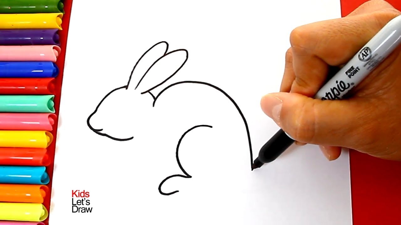 Aprender cómo dibujar un CONEJO real de manera correcta y fácil | Dibujos de Animales
