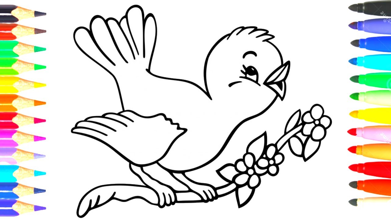 Comment Dessiner un Oiseau - Dessin Facile - Dessin Coloriage