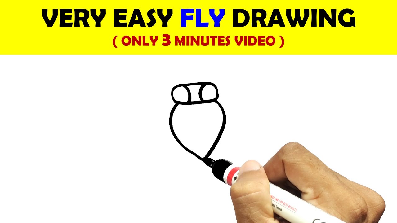 HOW TO DRAW A FLY EASY STEP BY STEP | FLY DRAWING VIDEO