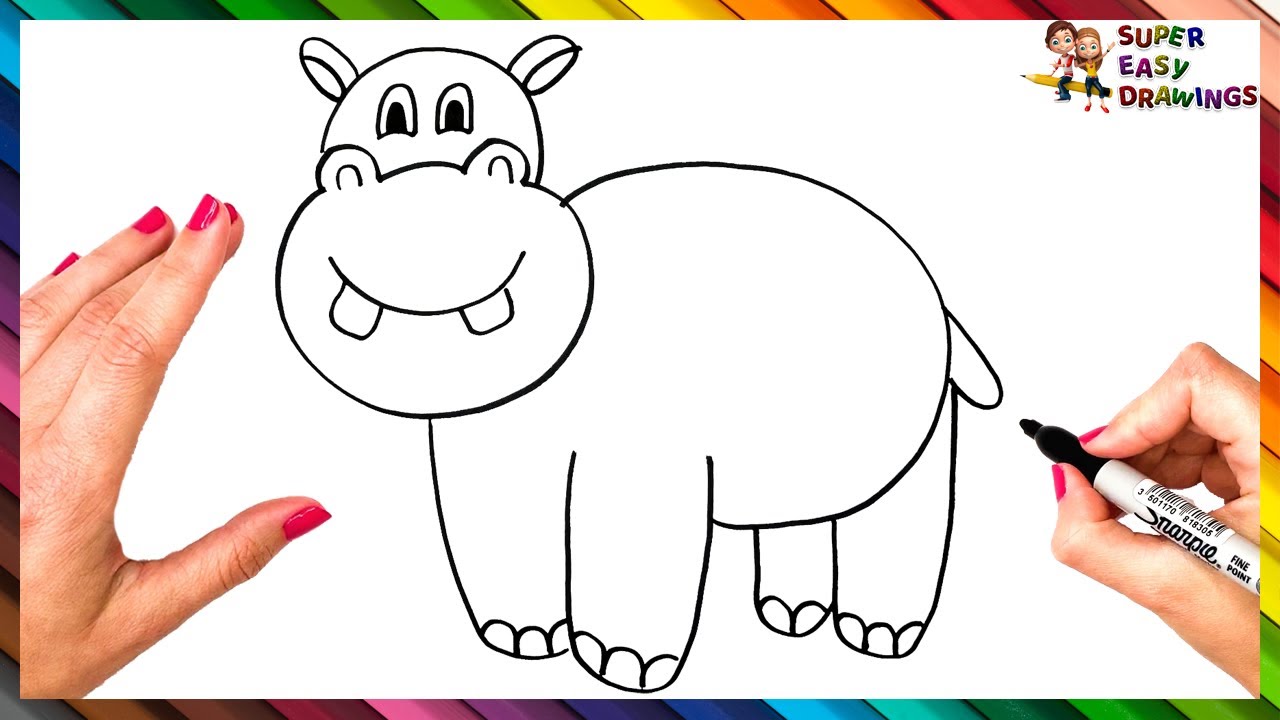 How To Draw A Hippo Step By Step  Hippo Drawing Easy