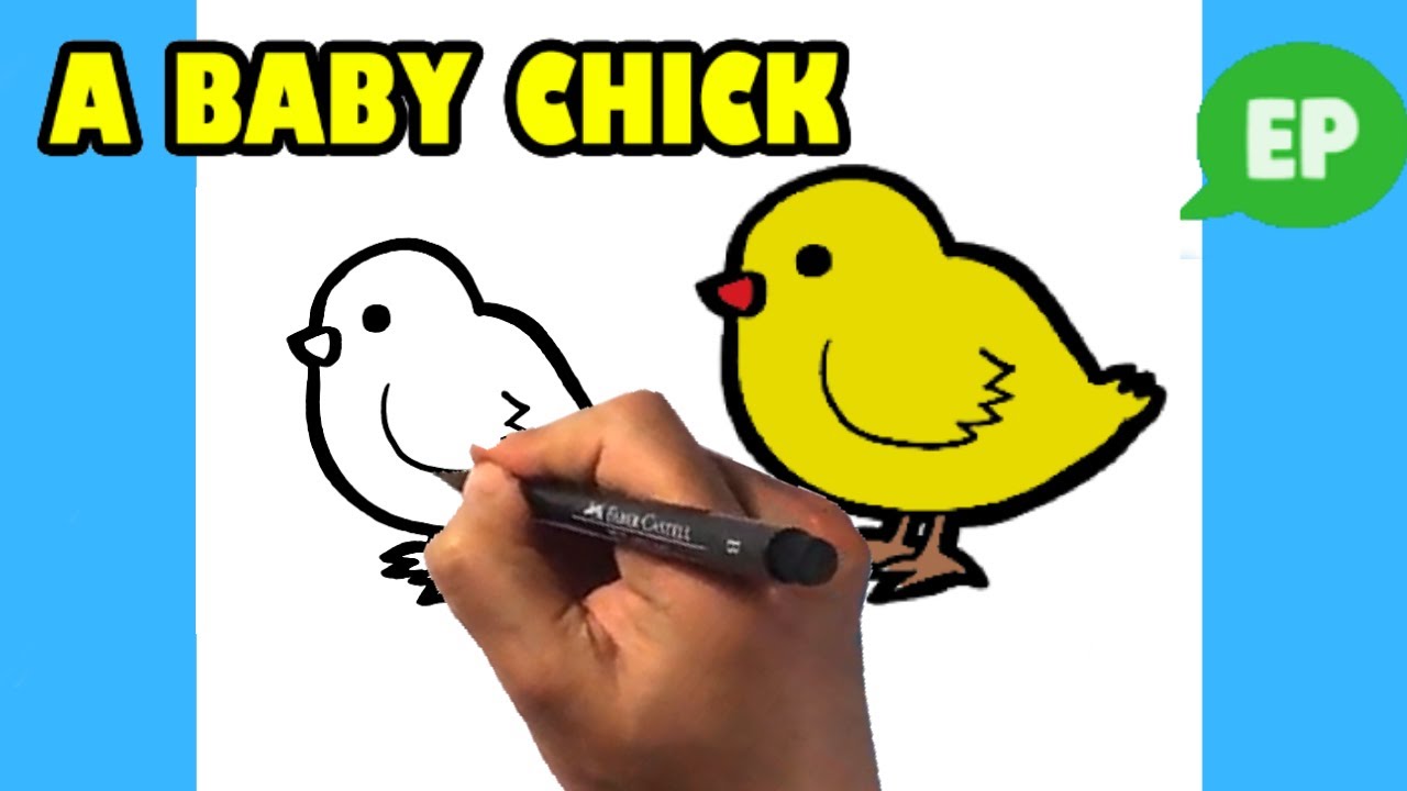 How to Draw a Baby Chick - Cute Animals - Easy Pictures to Draw