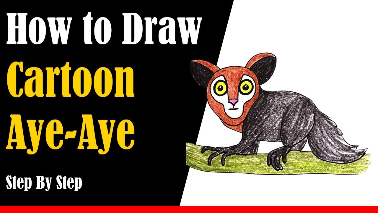 How to Draw a Cartoon Aye-Aye Step by Step - very easy