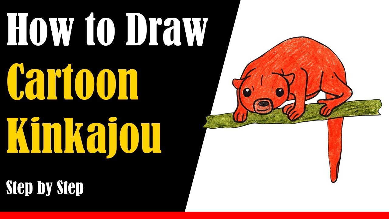 How to Draw a Cartoon Kinkajou - Step by Step