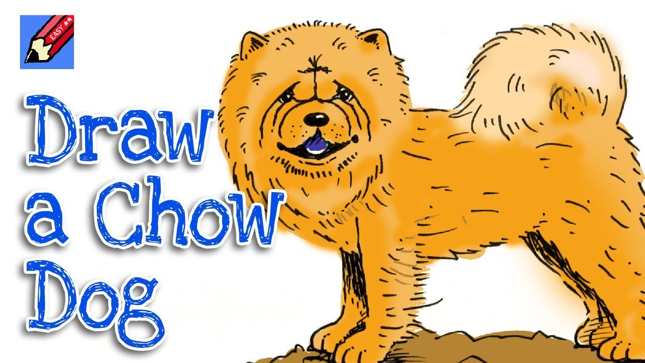 How to Draw a Chow Dog for Chinese New Year