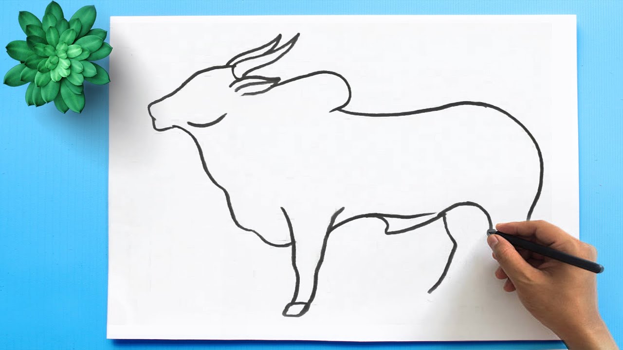 How to Draw a Cow | Simple OX Cow Drawing Tutorial step by step easy