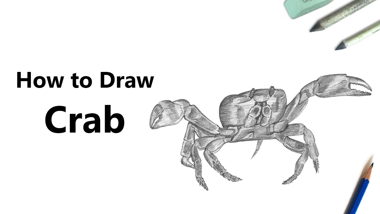 How to Draw a Crab with Pencils [Time Lapse]