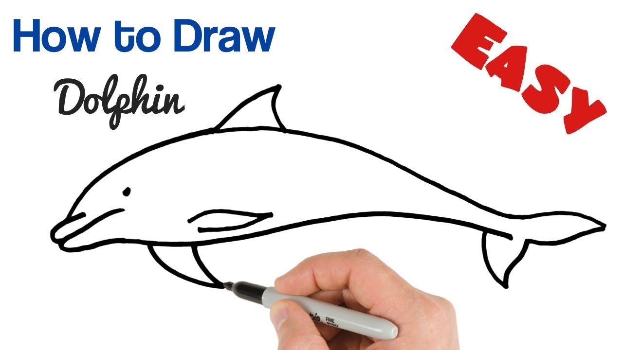 How to Draw a Dolphin Easy | How to Draw Animals