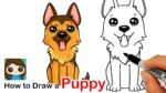 How to Draw a German Shepherd Puppy Easy