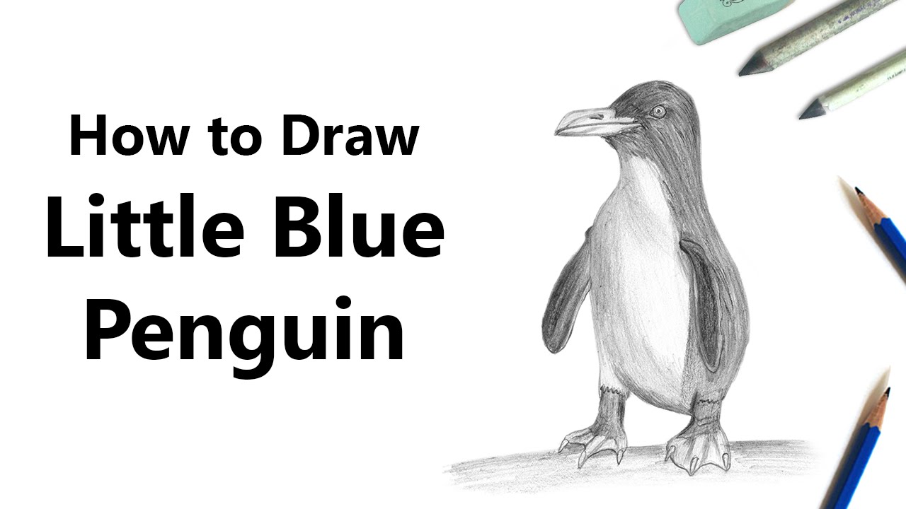 How to Draw a Little Blue Penguin with Pencils [Time Lapse]