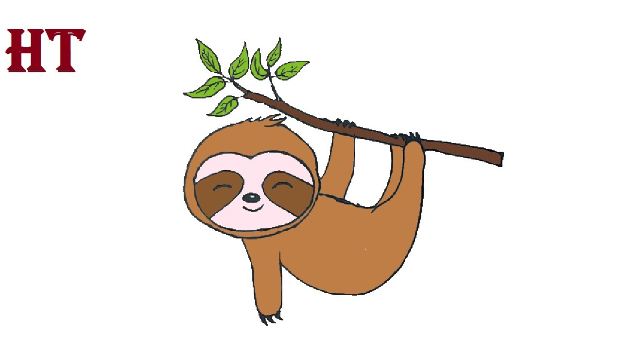 How to draw a Sloth cute and easy for Beginners