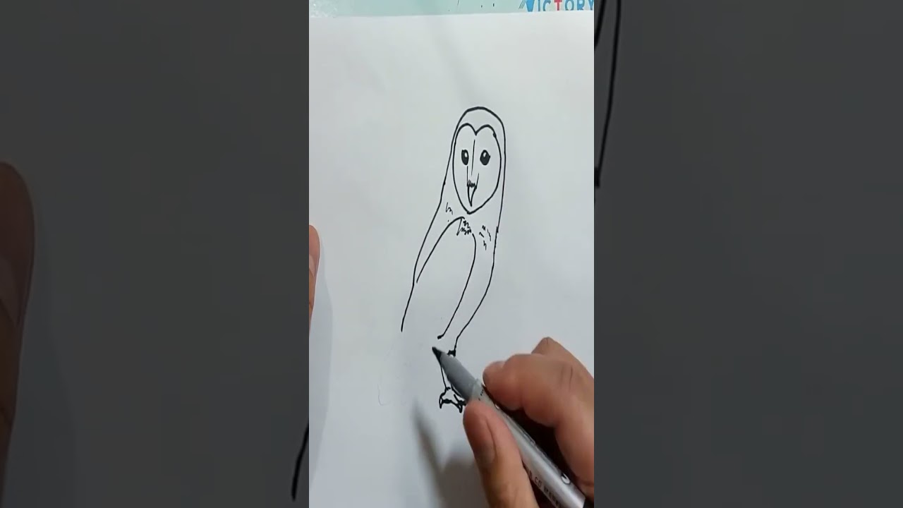 Owl Drawing easy #shorts