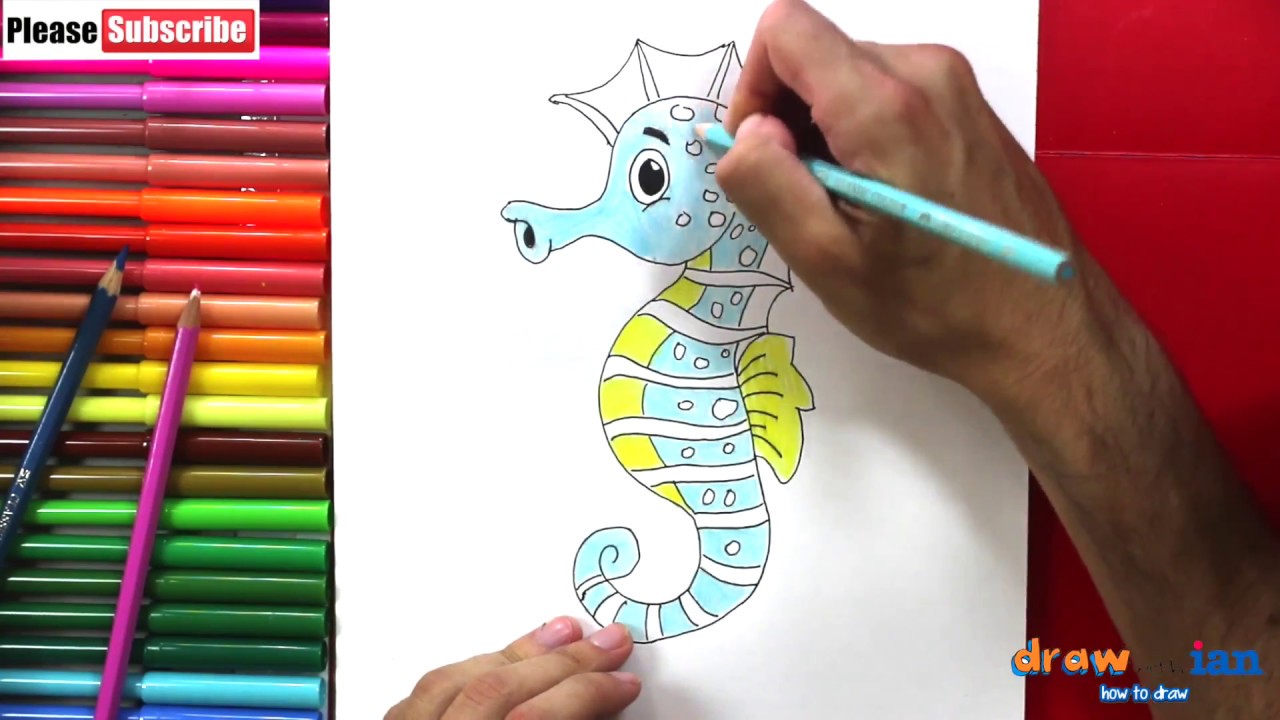 how to draw a seahorse - Cómo dibujar un caballo de mar