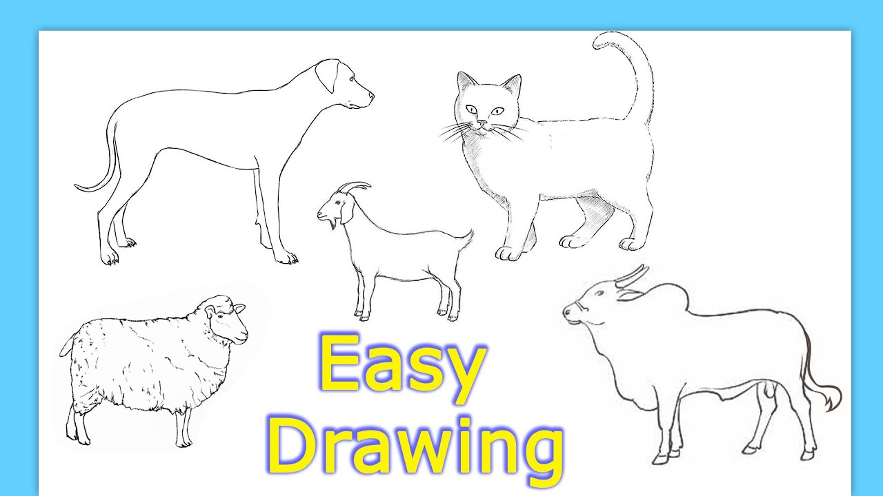 5 Animals Drawing Easy  How to draw domestic Animals step by step easy