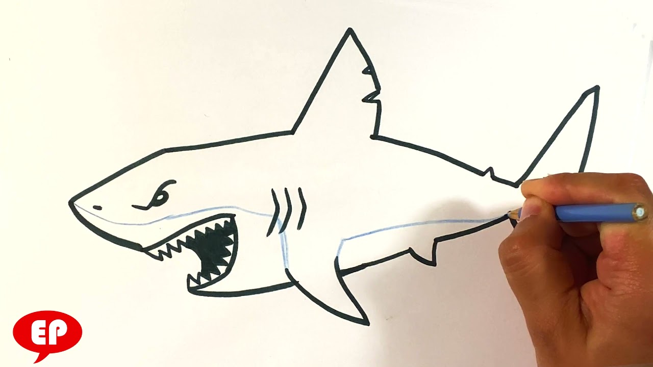 AMAZING How to Draw Megalodon Shark