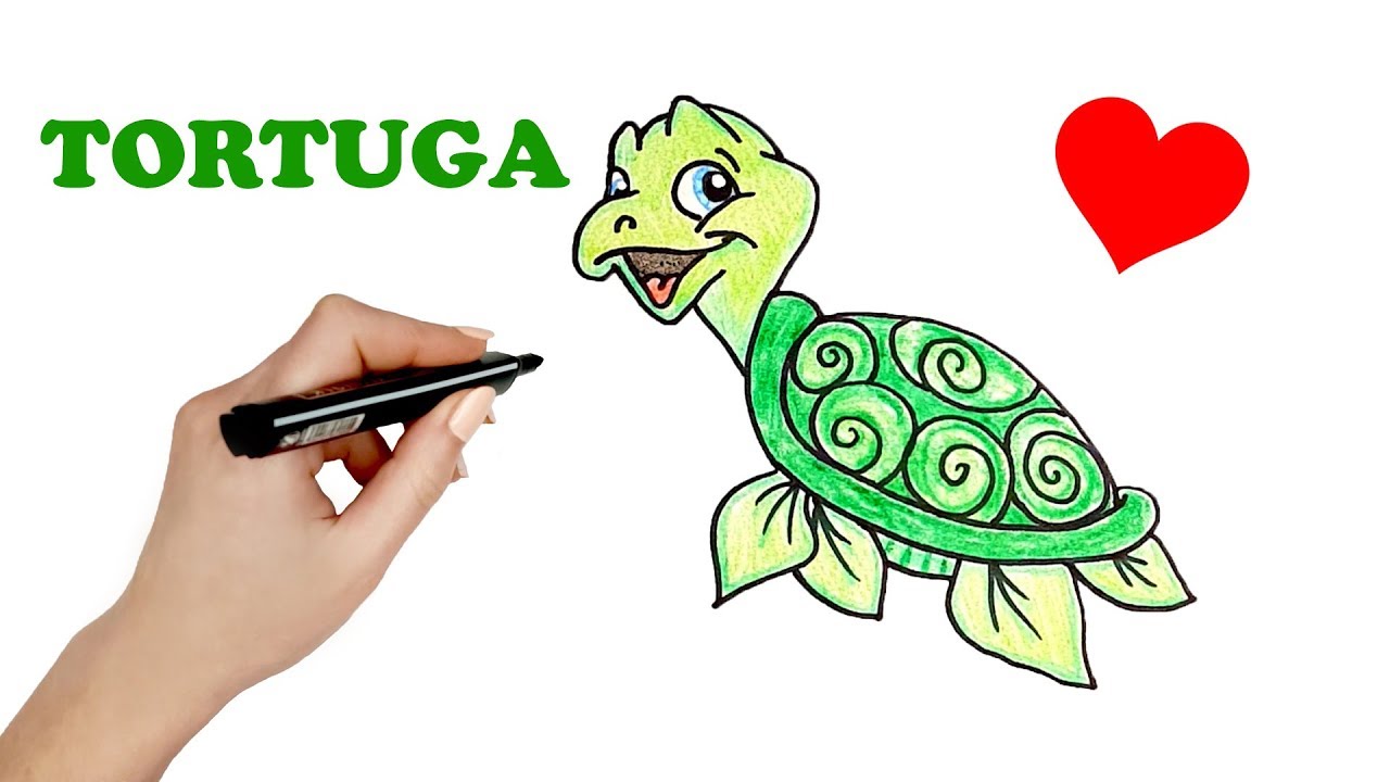 APRENDE A DIBUJAR UNA TORTUGA MARINA Kawaii  How to draw a Cute Sea Turtle