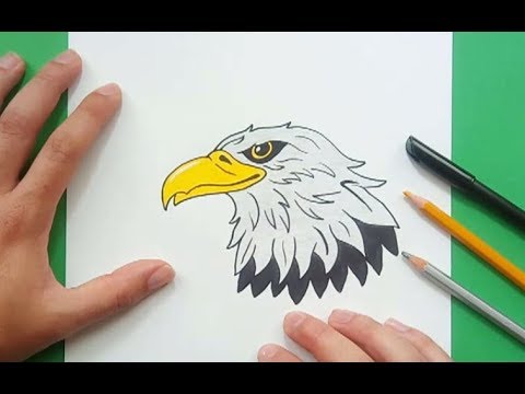 Como dibujar un aguila paso a paso 6 | How to draw an eagle 6