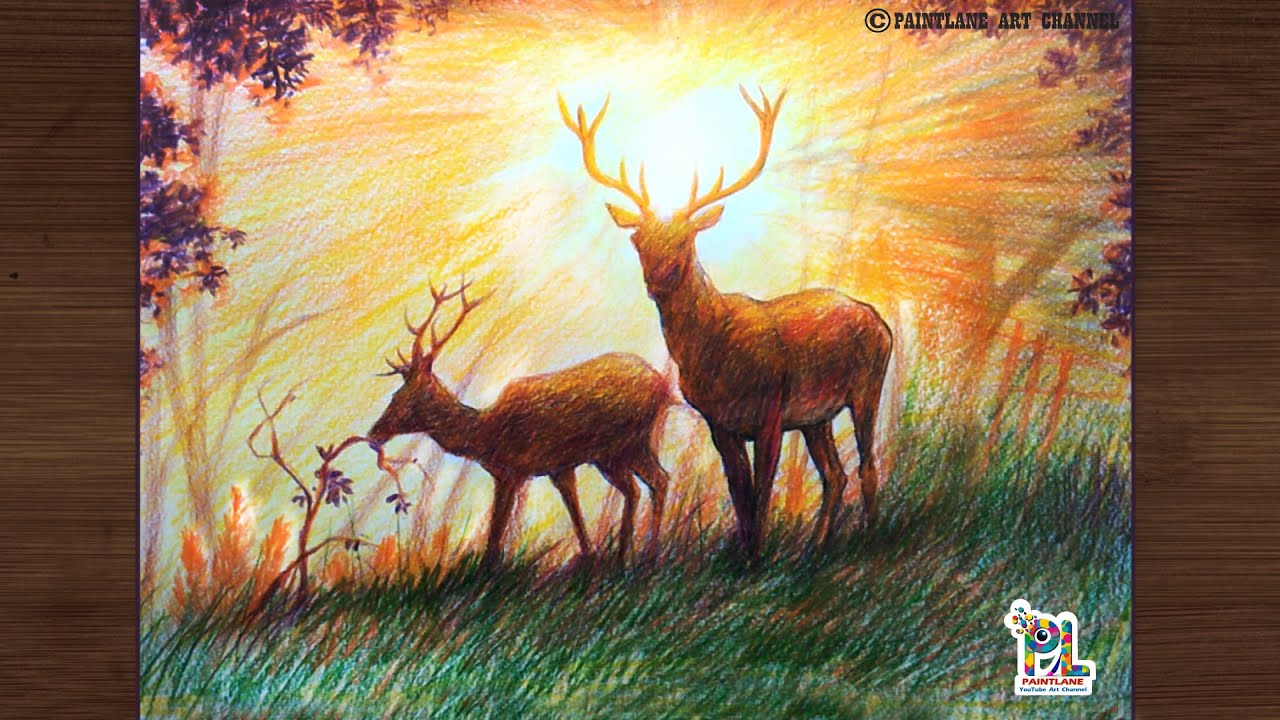 Deer Drawing In The Landscape With Step by Step Color Pencil Art || Animal Coloring Art Video