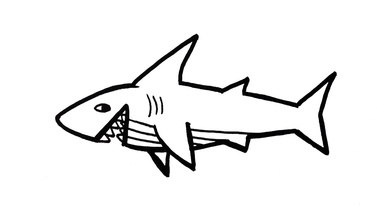 Drawing shark | How to draw a shark | Easy drawing for kids