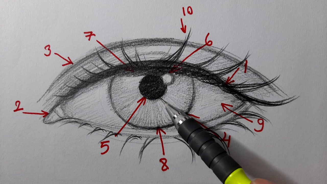 Göz Nasıl Çizilir? Püf Noktaları Nelerdir? 10 Madde'de Anlatımlı Çizim.
