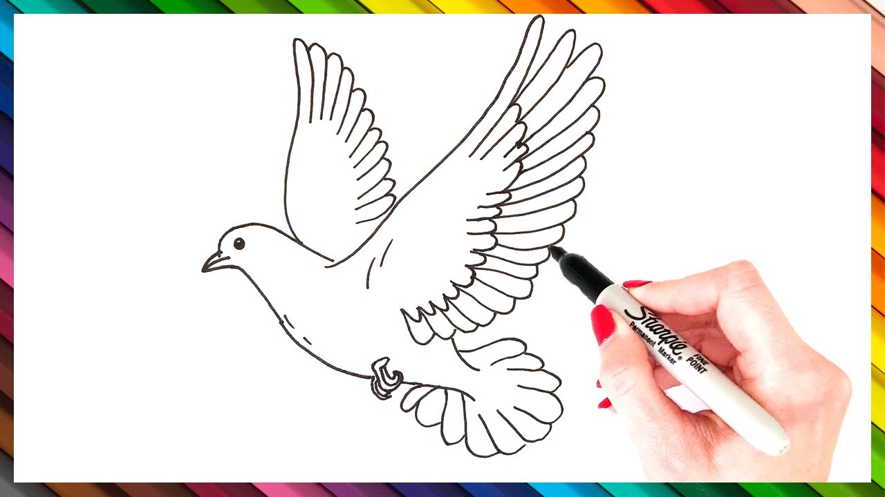 How To Draw A Dove Step By Step | EASY Dove Drawing Tutorial