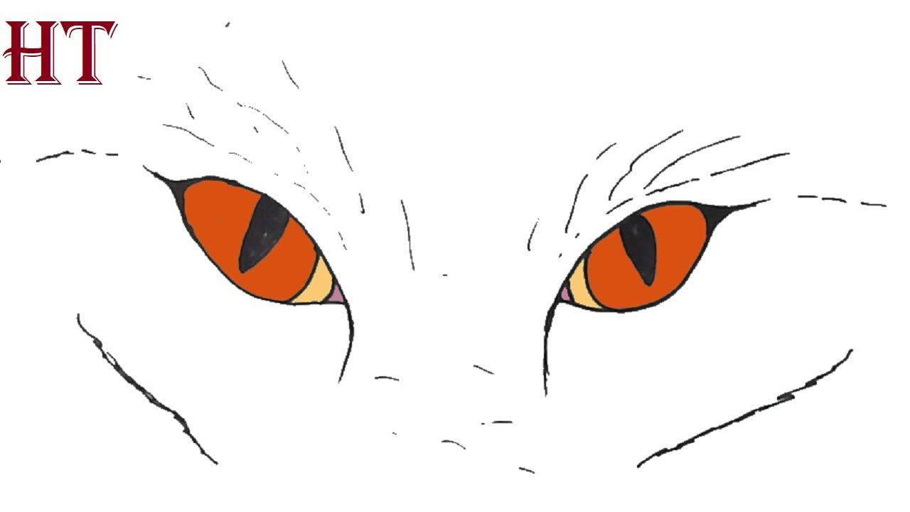 How To Draw Fox Eyes easy Step by Step