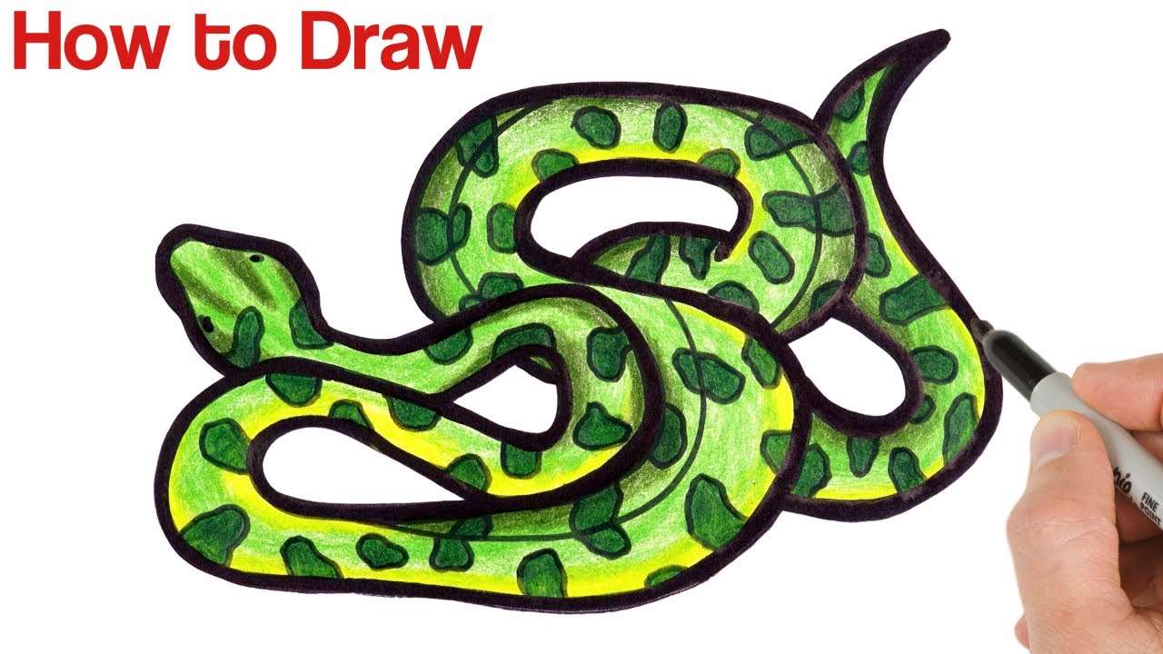 How to Draw Anaconda Python Snake | Easy Animals Drawings