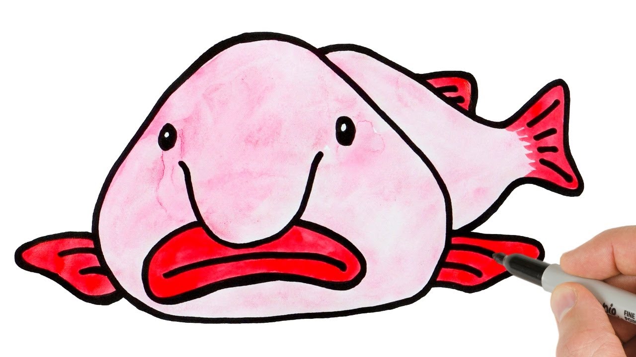 How to Draw Blob Fish | Easy Animals Drawings for Beginners