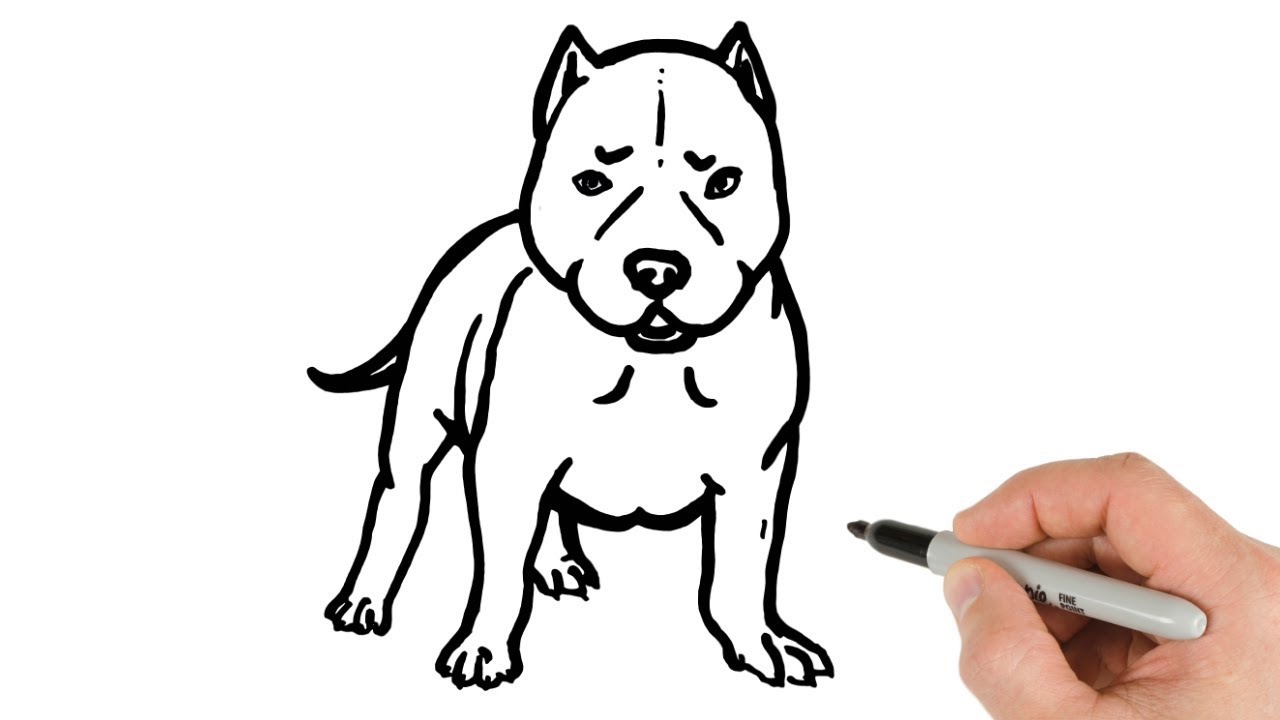 How to Draw Pitbull Puppy Easy