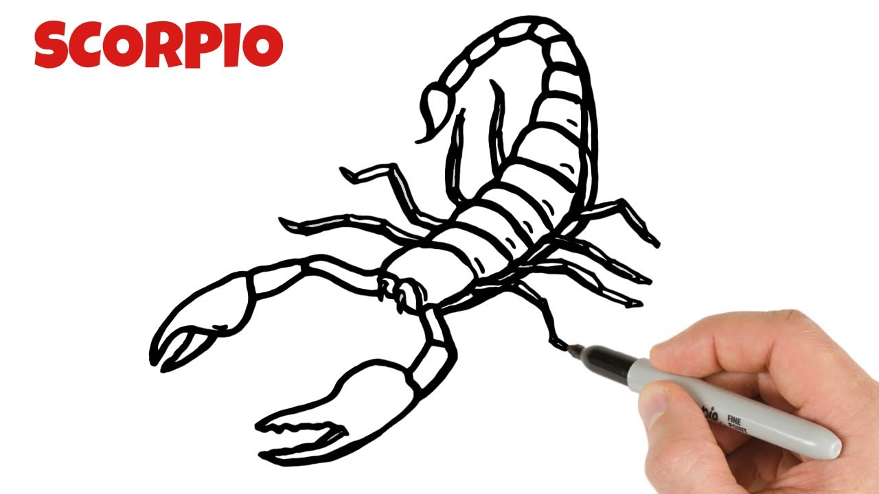 How to Draw Scorpio | Art Tutorial for beginners