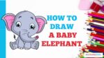 How to Draw a Baby Elephant in a Few Easy Steps: Drawing Tutorial for Beginner Artists