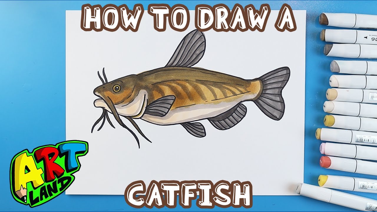 How to Draw a CATFISH!!!