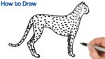 How to Draw a Cheetah Easy | Animals Drawings | Art Tutorial