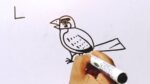 How to Draw a Cute Bird From Letter L | Easy Bird Drawing For Beginners | Sparrow Drawing Easy Way