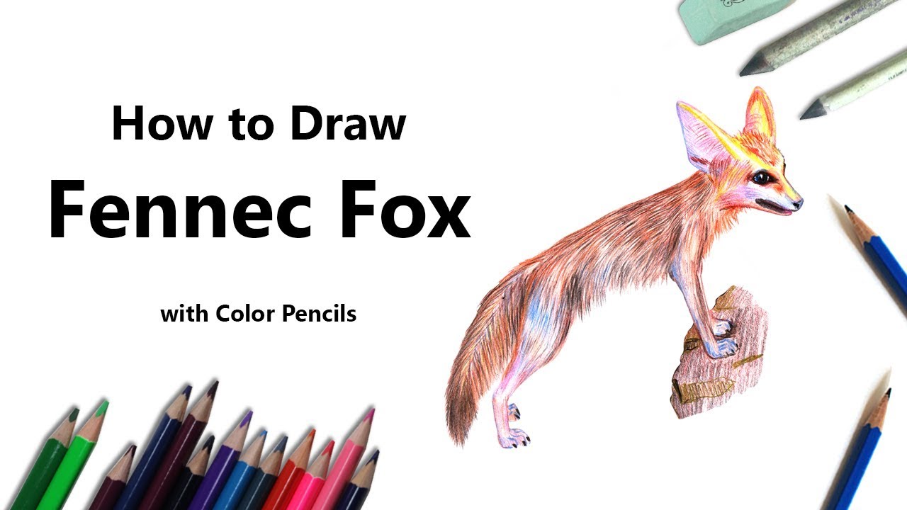 How to Draw a Fennec Fox with Color Pencils [Time Lapse]
