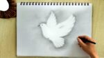 How to Draw a Flying Bird | Easy Step by Step Dove Bird Drawing Tutorial