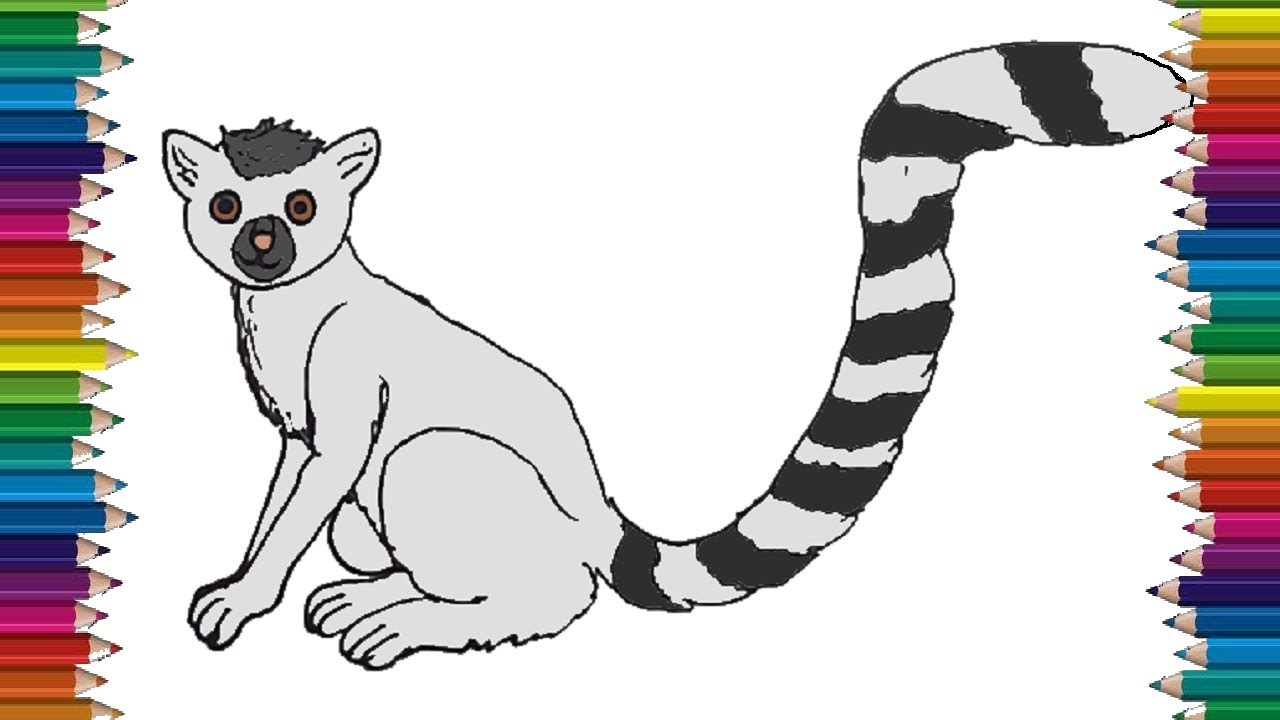How to Draw a Lemur step by step | Easy animals to draw