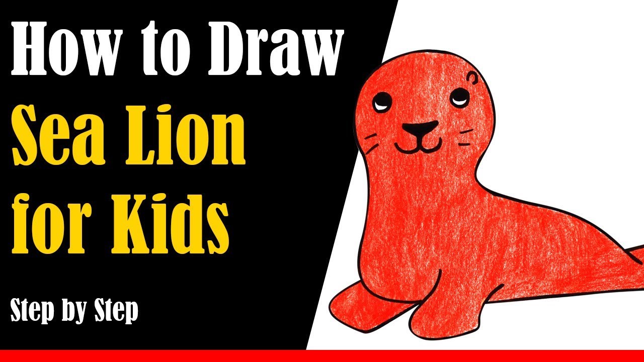 How to Draw a Sea Lion for Kids Step by Step - very easy