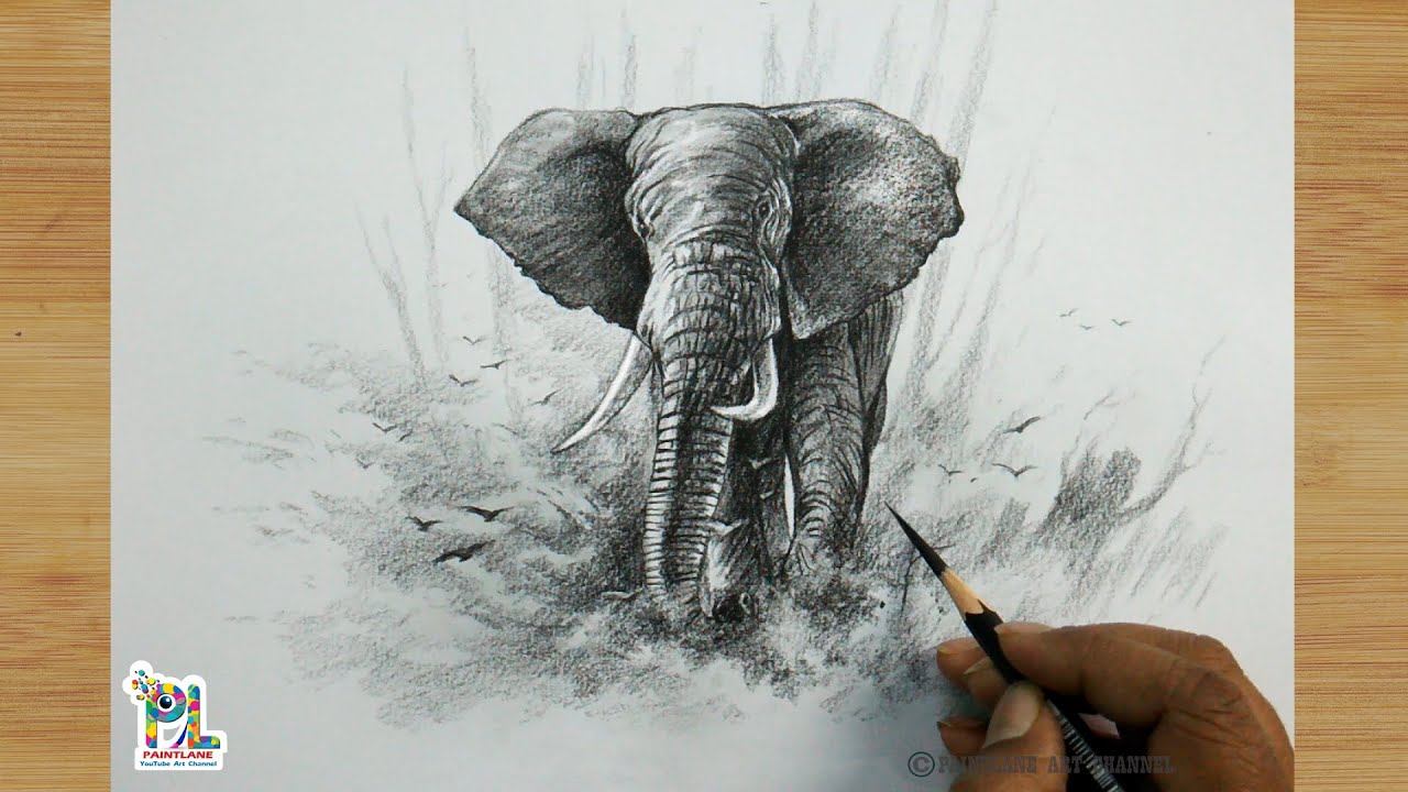 How to Draw an Elephant in the Forest // Pencil Sketching and Shading // PAINTLANE