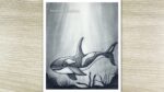 How to draw a underwater scenery with pencil sketch, Dolphin Drawing